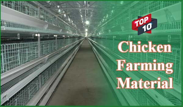 Top 10 Chicken Farming Equipment That You Should Have