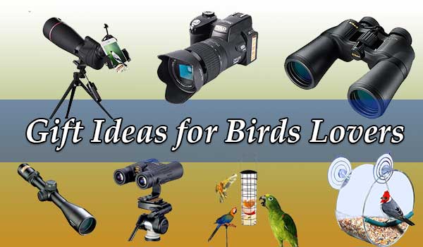 Gift Ideas for Bird Lovers
