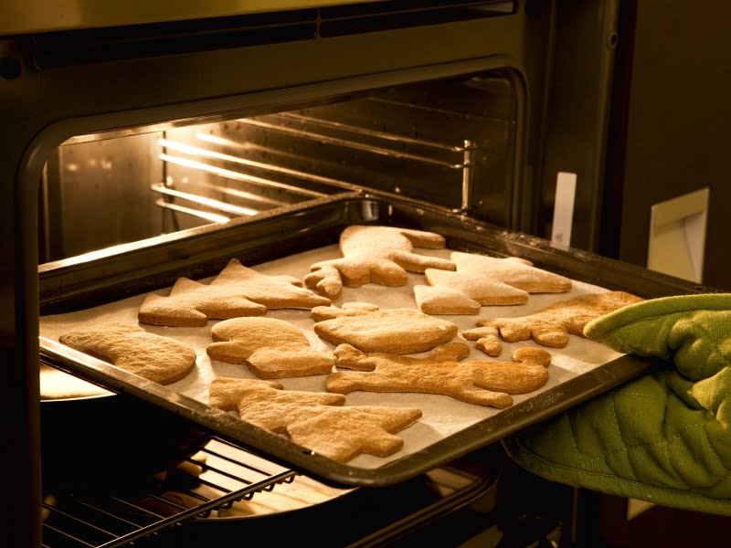 conventional oven vs convection oven