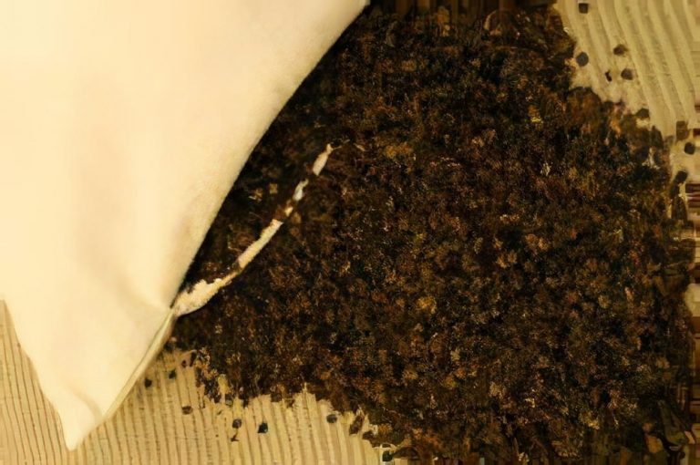 Everything You Need To Know About Buckwheat Pillows
