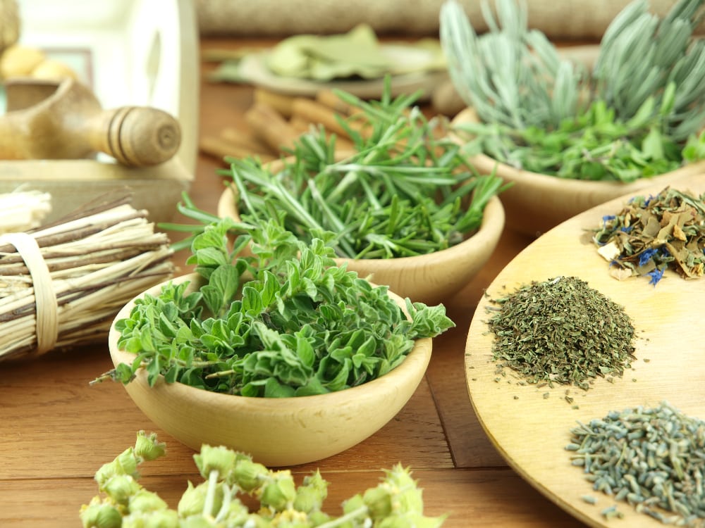 what’s the difference between thyme and oregano