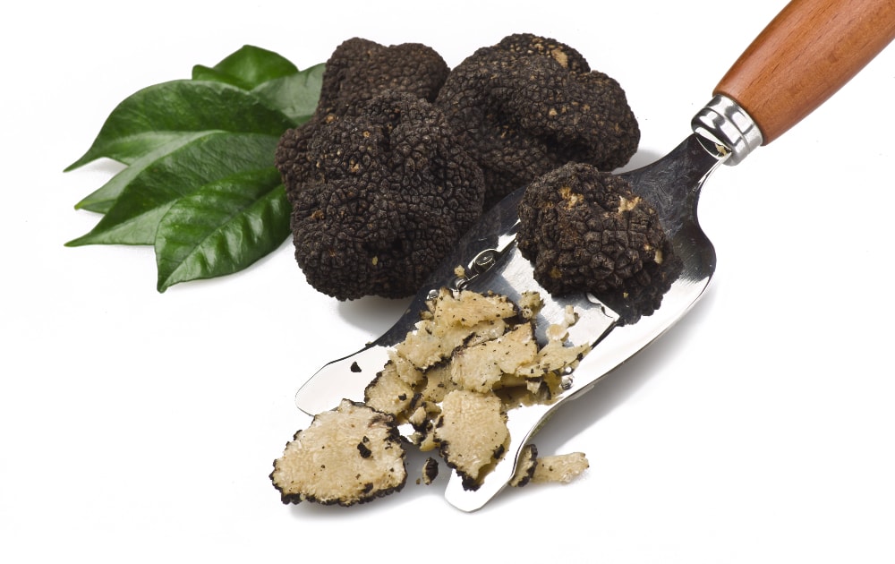 truffle taste