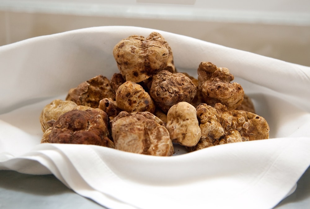 what does white truffle taste like