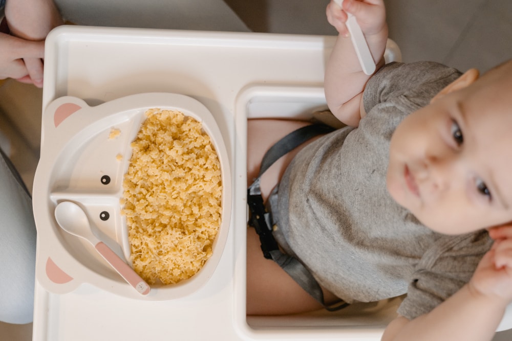 Eight Easy-to-Prepare Baby Meal Ideas for New Moms